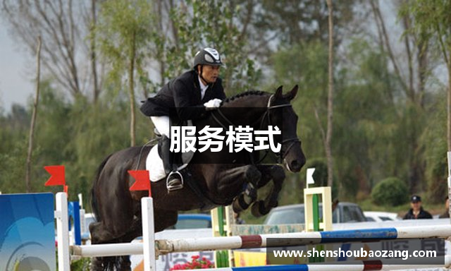 服务模式